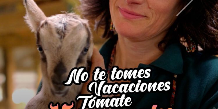 #Vacarurales: INDAP lanza campaña para preferir el turismo rural durante esta temporada estival 