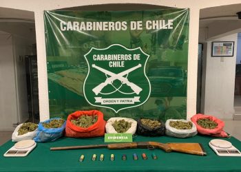 Decomisan más de 19 kilos de marihuana desde una casa en Petorca: Dos primos fueron detenidos