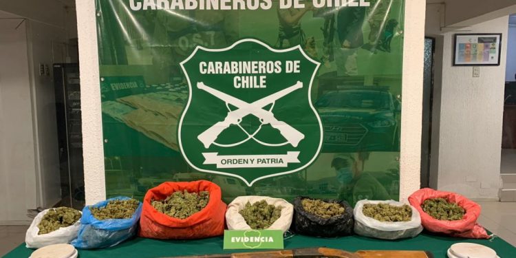 Decomisan más de 19 kilos de marihuana desde una casa en Petorca: Dos primos fueron detenidos