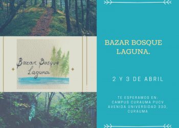 Emprendedoras de Curauma lanzan Bazar Bosque Laguna