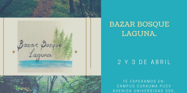 Emprendedoras de Curauma lanzan Bazar Bosque Laguna