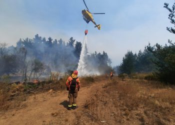 Fin de semana largo: Conaf llamó a prevenir incendios forestales en la Región de Valparaíso