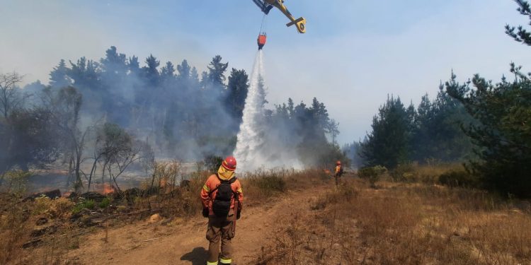 Fin de semana largo: Conaf llamó a prevenir incendios forestales en la Región de Valparaíso