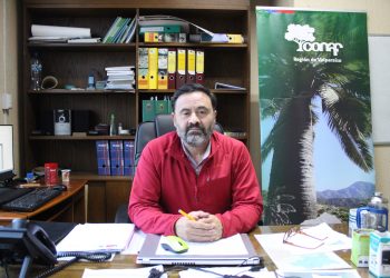 Nuevo director de Conaf Valparaíso: “Vamos a impulsar un trabajo más fuerte en los territorios”.