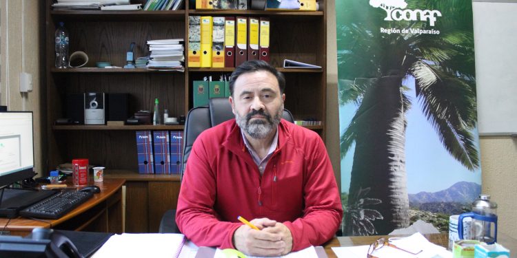 Nuevo director de Conaf Valparaíso: “Vamos a impulsar un trabajo más fuerte en los territorios”.