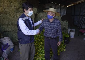 EN PETORCA Y EN DIÁLOGO CON PRODUCTORES INDAP INICIA ENTREGA DE AYUDAS DEL PLAN SIEMBRA POR CHILE