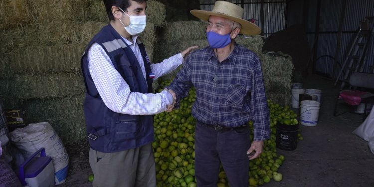 EN PETORCA Y EN DIÁLOGO CON PRODUCTORES INDAP INICIA ENTREGA DE AYUDAS DEL PLAN SIEMBRA POR CHILE