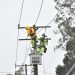 CGE refuerza acciones en terreno para prevenir interrupciones de suministro eléctrico en la provincia de Petorca.