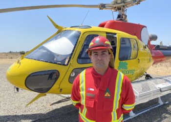 Conaf abrió un nuevo proceso de postulación a sus brigadas de combate de incendios forestales.