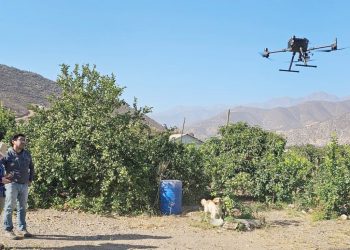 Energía solar fotovoltaica para uso en riego: por un campo más sostenible.