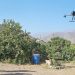 Energía solar fotovoltaica para uso en riego: por un campo más sostenible.
