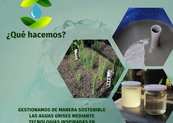 Alumnos de la PUCV fabrican humedales  artificiales para filtrar aguas grises