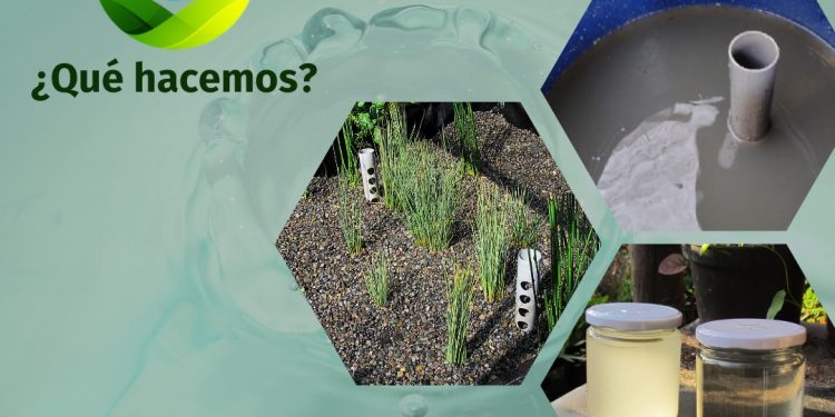 Alumnos de la PUCV fabrican humedales artificiales para filtrar aguas grises