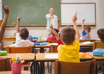 Explorador Virtual de Colegios y Jardines: