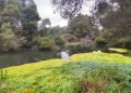 SEREMI DEL MEDIO AMBIENTE REALIZA LANZAMIENTO DE GUÍA DE FLORA HIDRÓFILA PARA APOYAR LA PROTECCIÓN DE HUMEDALES EN CHILE