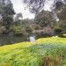 SEREMI DEL MEDIO AMBIENTE REALIZA LANZAMIENTO DE GUÍA DE FLORA HIDRÓFILA PARA APOYAR LA PROTECCIÓN DE HUMEDALES EN CHILE