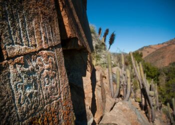 Encuentro Intercomunal Los Vilos – Petorca Celebra la Cultura y Tradición en Tilama2023