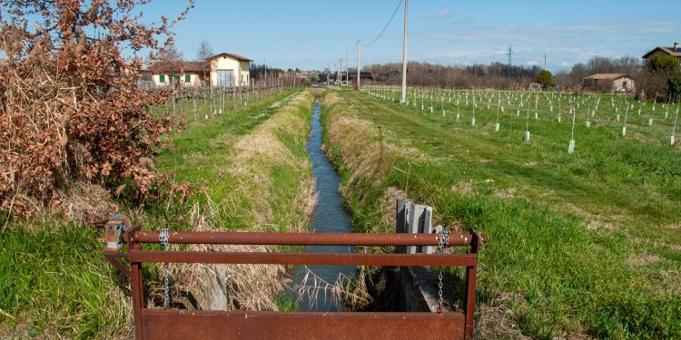 PUCV desarrolla proyecto para reutilizar aguas grises en comunidades de La Ligua, Petorca y Cabildo.